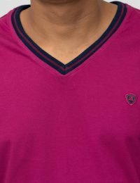 تیشرت مردانه یقه هفت خط دار حسام - تصویر 2