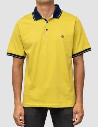 پولوشرت مردانه پنبه آراد