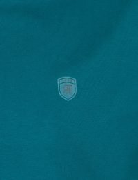 تیشرت مردانه ساده یقه گرد دانوش - تصویر 2