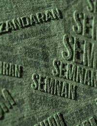 تیشرت مردانه یقه گرد ایران - تصویر 4