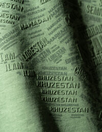 تیشرت مردانه یقه گرد ایران - تصویر 5