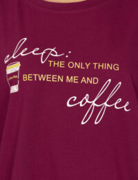 تیشرت زنانه پنبه آسمان - تصویر 2