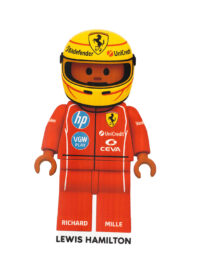 تیشرت چاپدار همیلتون - تصویر 2