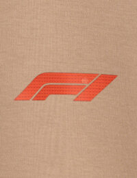 تیشرت چاپدار لگو فرمول 1 - تصویر 4