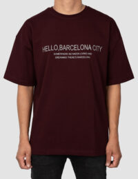 تیشرت مردانه چاپدار حامد