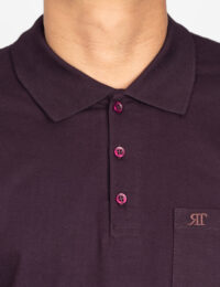 تیشرت مردانه گلدوزی مهرداد - تصویر 2