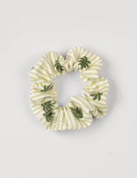 کش مو درخت نخل