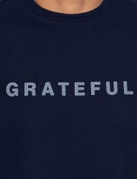 بلوز مردانه بیسکویتی بهرام - تصویر 2