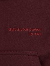 هودی مردانه گلدوزی طهمورث - تصویر 4