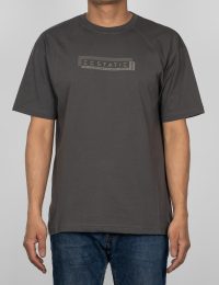 تیشرت مردانه چاپدار احسان